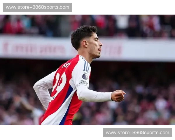 红白之魂的圣玛丽碰撞：南安敦与阿森纳的英超博弈论